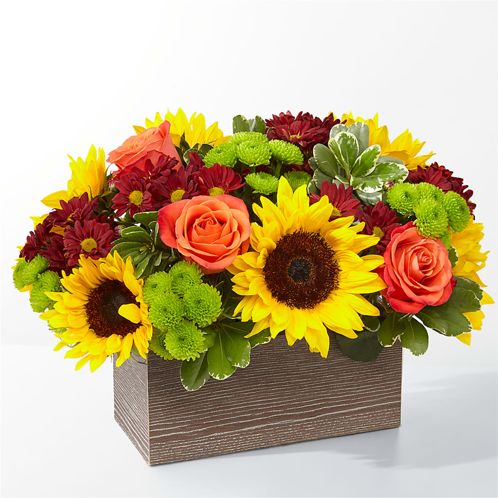 Happy Harvest Garden – BLOOM & BLOSSOM NORTH RALEIGH, Cary NC