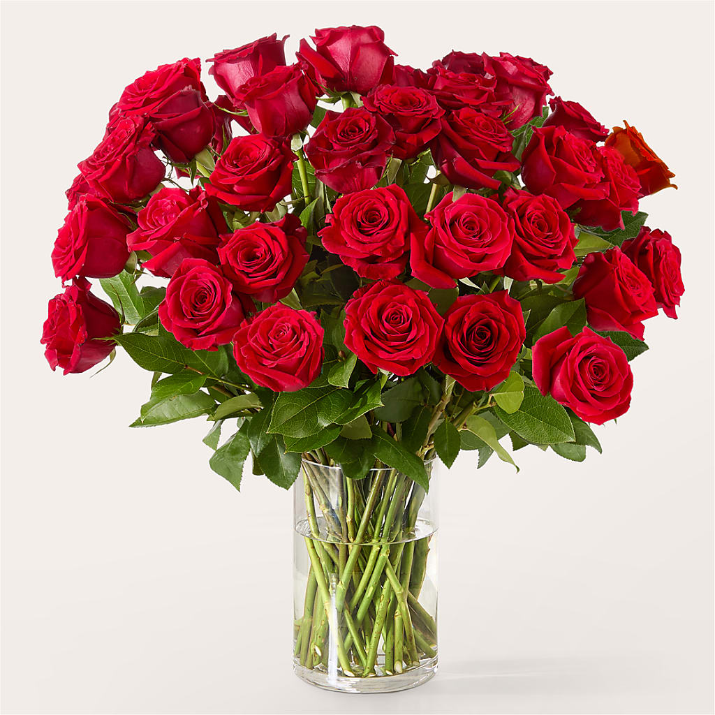 The One Red Rose Bouquet – BLOOM & BLOSSOM NORTH RALEIGH, Cary NC