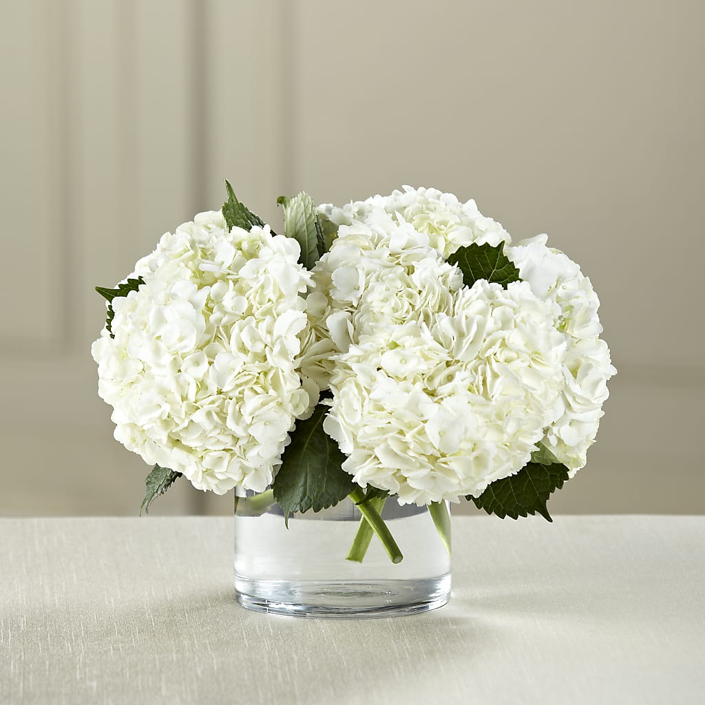 White Hydrangea Bouquet – BLOOM & BLOSSOM NORTH RALEIGH, Cary NC