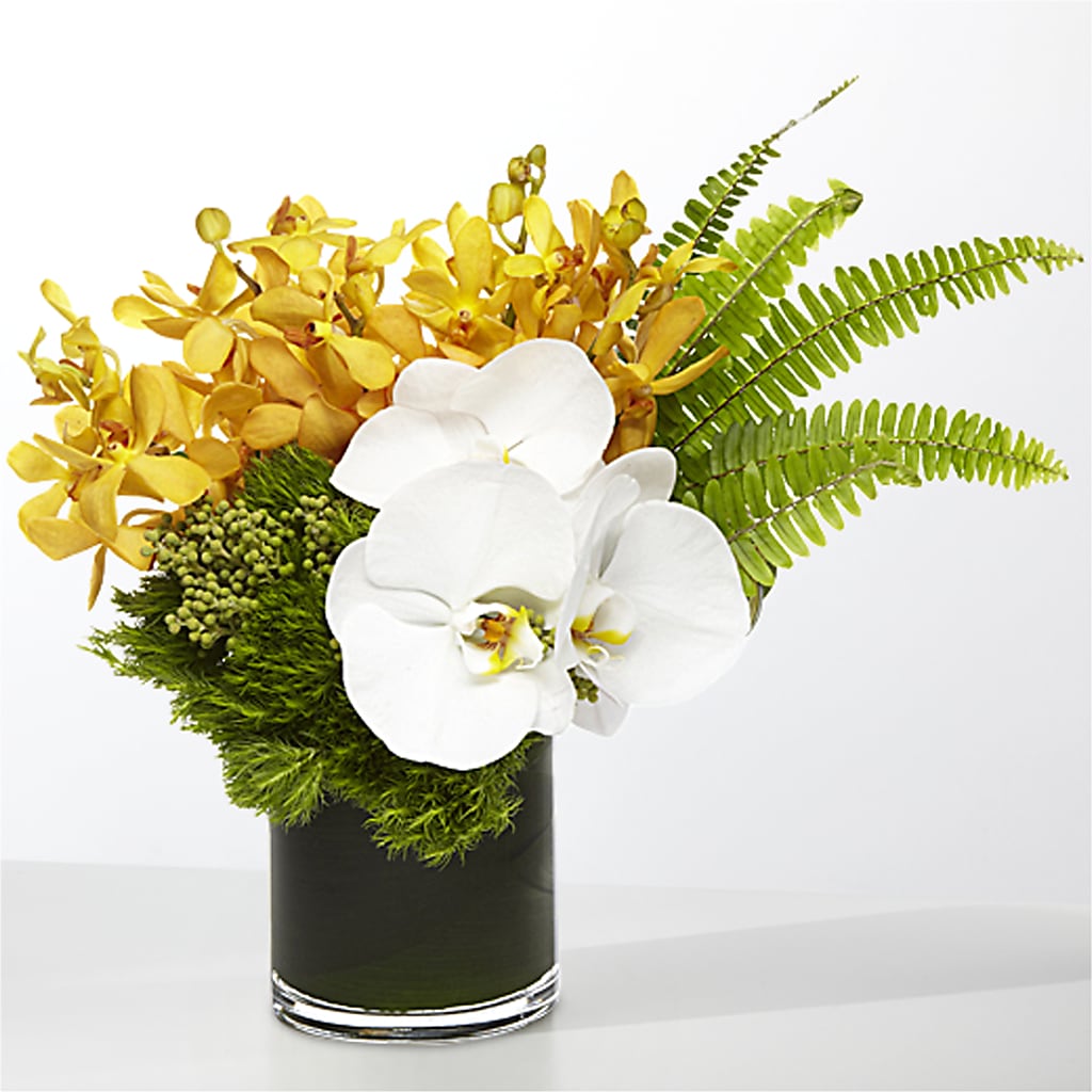 The Tropics – BLOOM & BLOSSOM NORTH RALEIGH, Cary NC