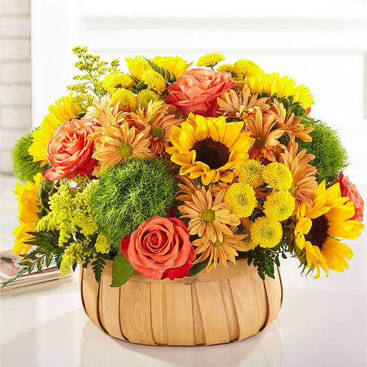 Harvest Sunflower Basket – BLOOM & BLOSSOM NORTH RALEIGH, Cary NC