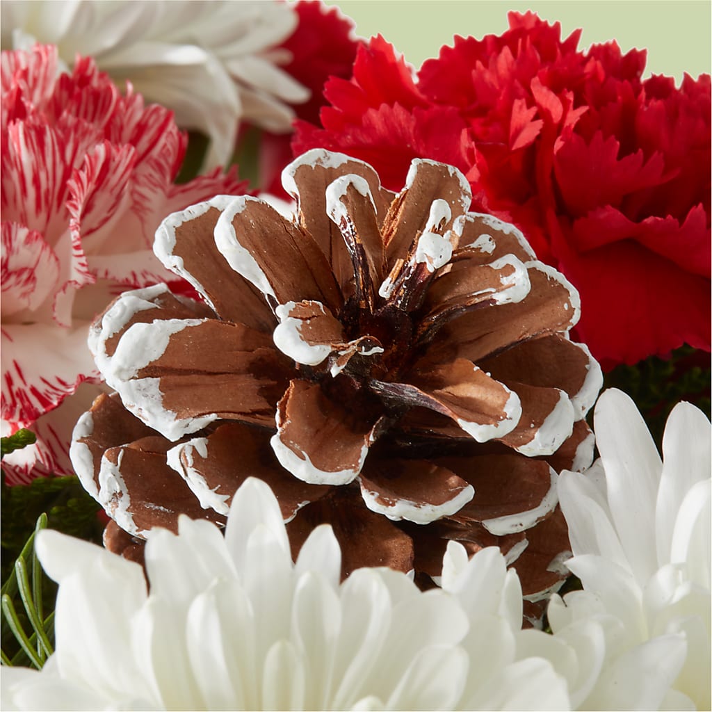 Candy Cane Lane Bouquet – BLOOM & BLOSSOM NORTH RALEIGH, Cary NC