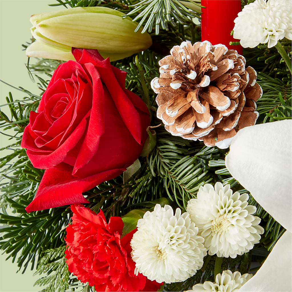 Seasonal Festivities Centerpiece – BLOOM & BLOSSOM NORTH RALEIGH, Cary NC