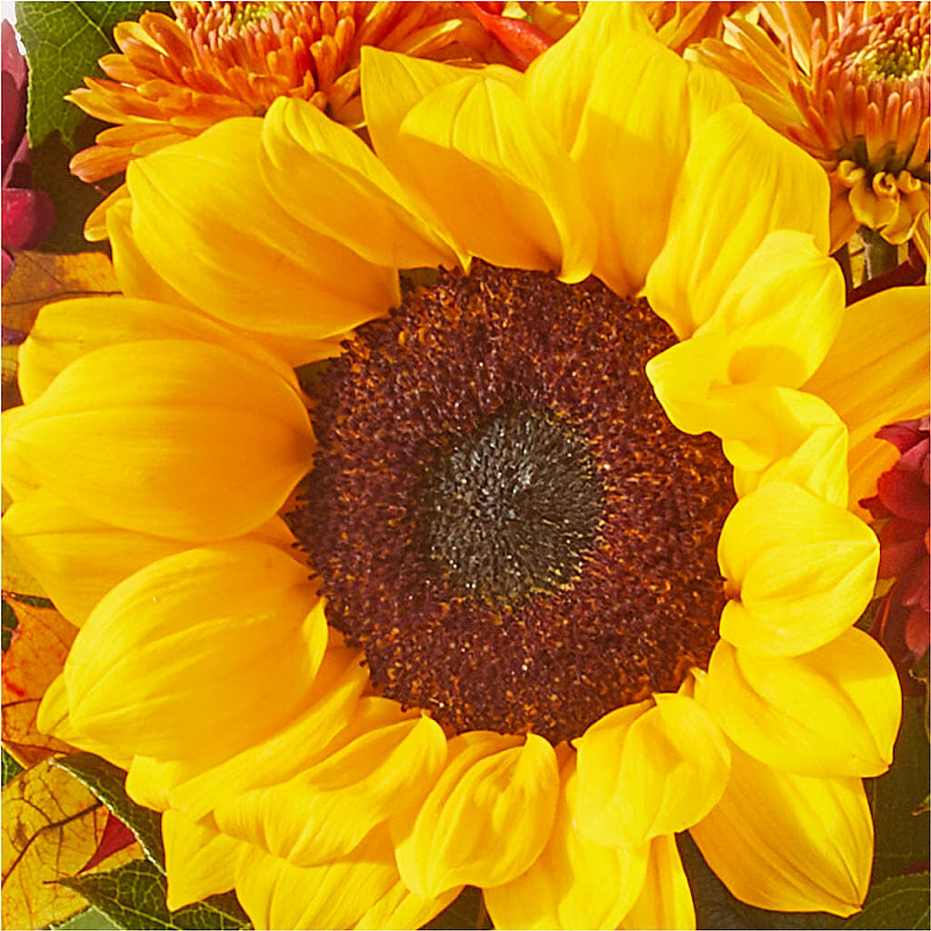 Sunny Side Bouquet – BLOOM & BLOSSOM NORTH RALEIGH, Cary NC