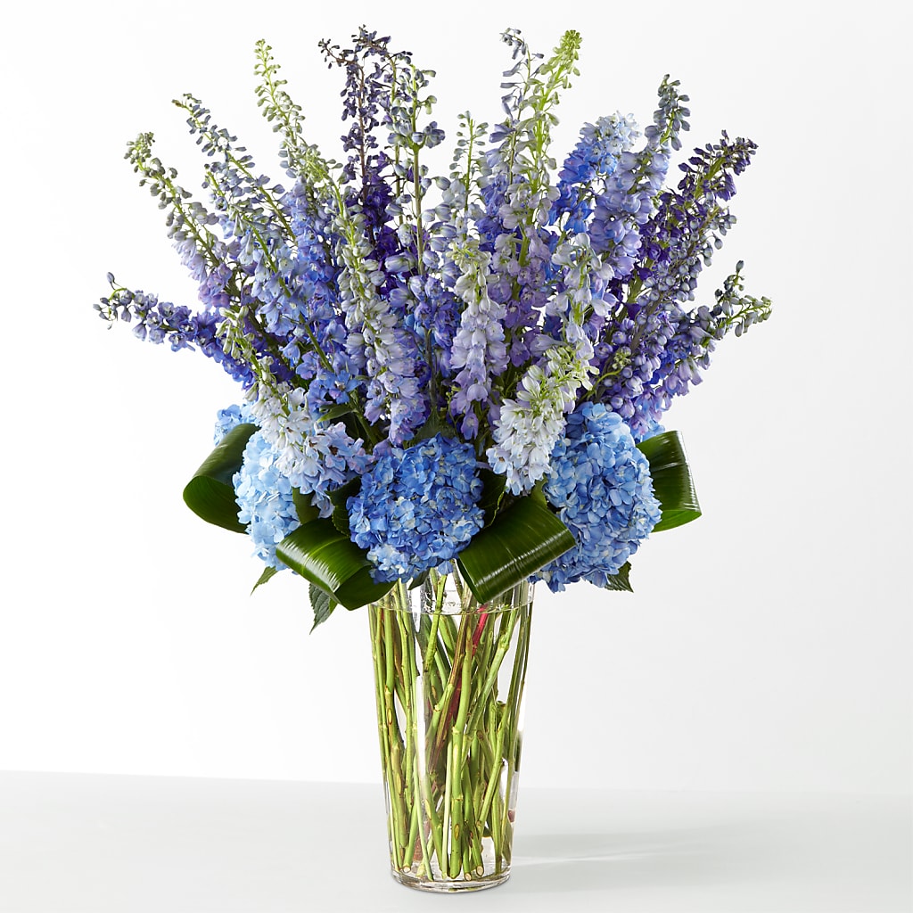 The Editorial – BLOOM & BLOSSOM NORTH RALEIGH, Cary NC
