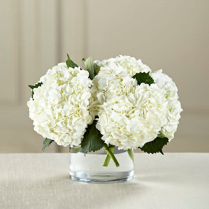White Hydrangea Bouquet – BLOOM & BLOSSOM NORTH RALEIGH, Cary NC